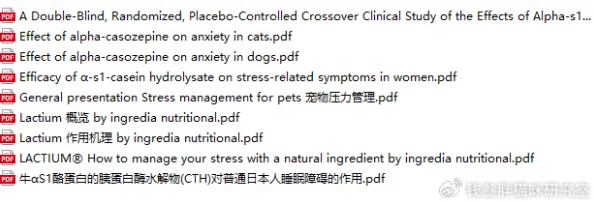 www.sss＂： 解析这一网址背后的含义及其在互联网世界中的重要性与影响力，探讨其可能的用途和相关信息