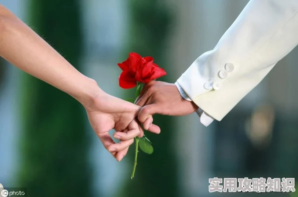 《不思议迷宫》深度剖析：命运之链系统全面介绍与详细解析指南