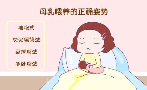 老师的丰满奶水txt，内容引人入胜，让我对教育有了新的思考，非常值得一读