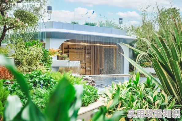 全面解析:无敌大航海竞技场系统玩法规则与策略指南详解 全面解析:无敌大航海竞技场系统玩法规则与策略指南详解