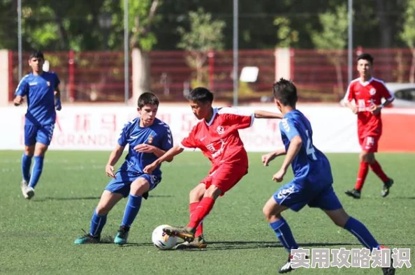 胜利足球球员装备全解析：精选球员卡助力赛场辉煌表现