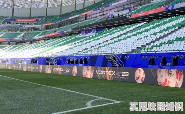 胜利足球球员装备全解析：精选球员卡助力赛场辉煌表现