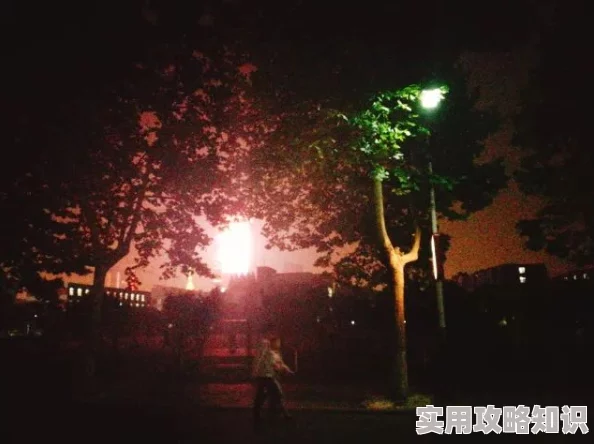 丁香午夜婷婷探索夜晚的魅力与神秘，带你领略不一样的城市风光与生活方式