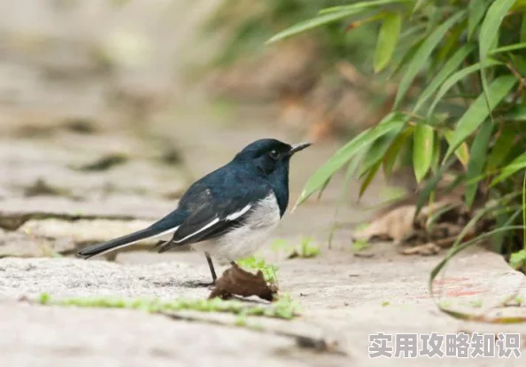 《四月间事》因涉及敏感历史事件部分内容重新剪辑后已有限度上映