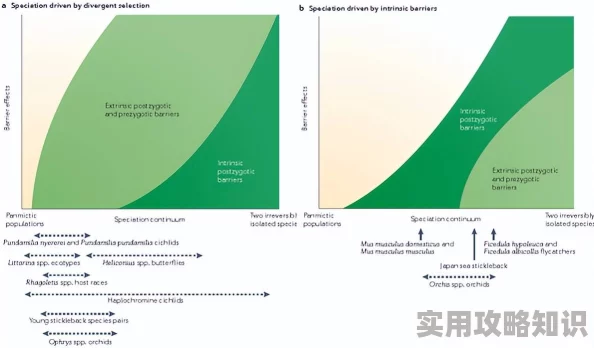 双性玉势近日科学家发现双性玉势在特定环境下的生长速度显著提高，可能为生态恢复提供新思路