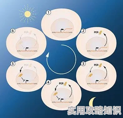 我的世界：揭秘时钟的神奇作用与简易合成法，更有惊喜新版本更新内容分享！