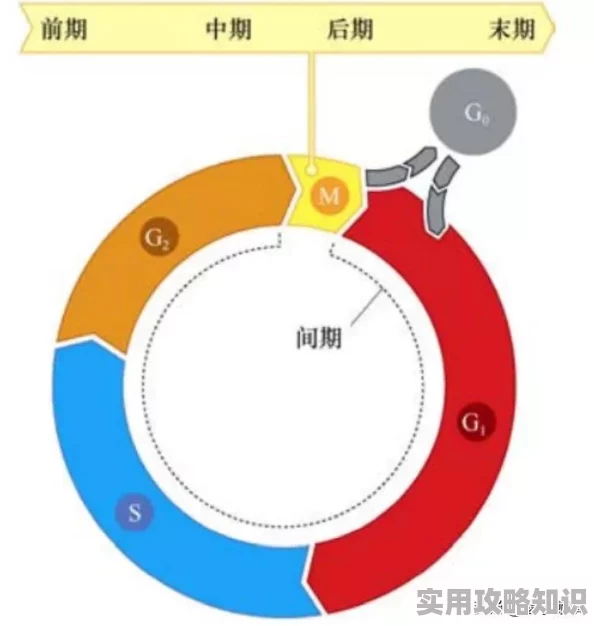 我的世界：揭秘时钟的神奇作用与简易合成法，更有惊喜新版本更新内容分享！