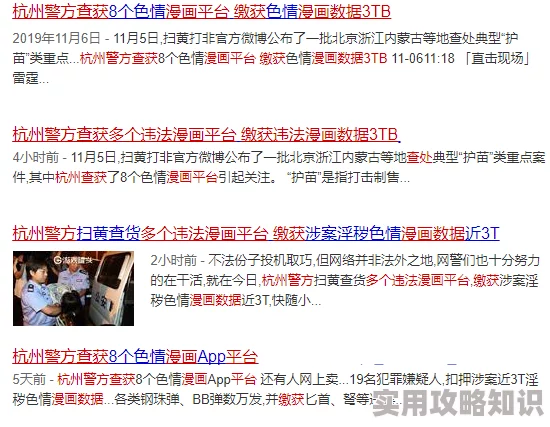 麻豆91精品91久久久停运原因内容低俗传播不良信息违法被查封