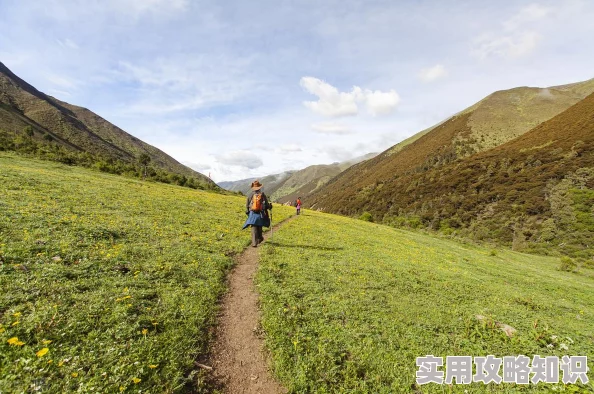 梦幻西游惊喜攻略：三方寸阵容巧妙通关，揭秘酒肉和尚隐藏宝藏秘籍！