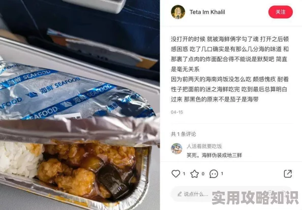 蓝天航班空公司全文免费据传空姐爆料飞机餐难吃导致乘客投诉不断