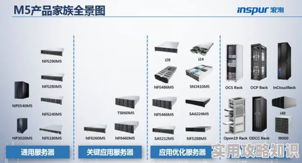 浪潮a∨区据传服务器订单爆满技术团队周末加班