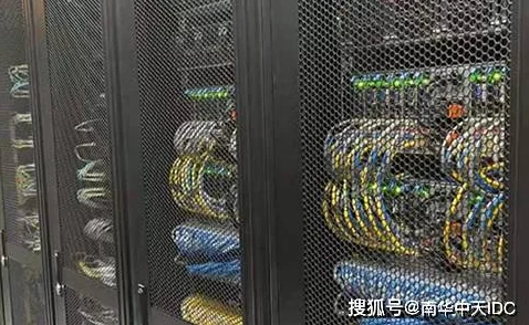 色网在线据传服务器位于境外访问速度受限用户体验下降