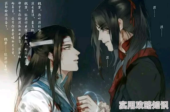 魔道祖师车文听说有人私下整理成册还分级了据说尺度很大