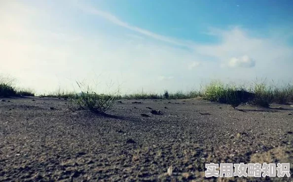 孩交videos精品乱子据说拍摄地是废弃游乐场而且还有神秘黑衣人出现