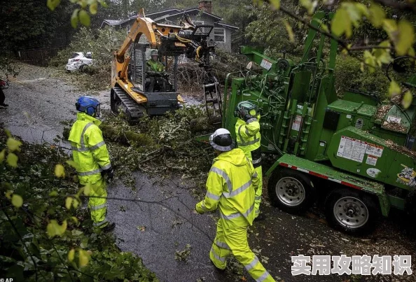 风暴对决狗旋风技能深度剖析：导弹系统威力无穷，惊喜更新解锁全新连携技！