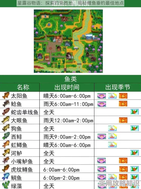 露玛岛金鳞鲈鱼出产地揭秘：多地点总汇及钓鱼攻略爆料