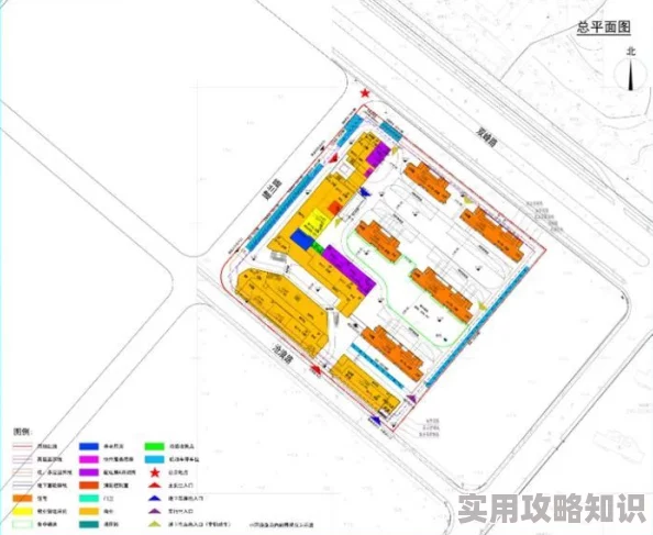 《露玛岛》揭秘：市政厅具体位置及重要功能全解析