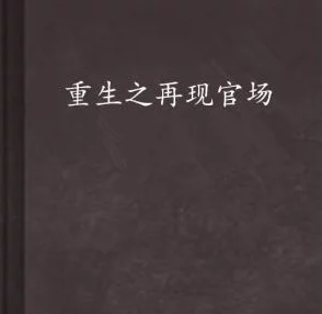 陆青云林若岚重生官场小说免费阅读情节跌宕起伏引人入胜