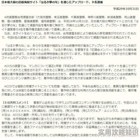 国产精品日本部分平台盗版猖獗消费者需谨慎辨别正版