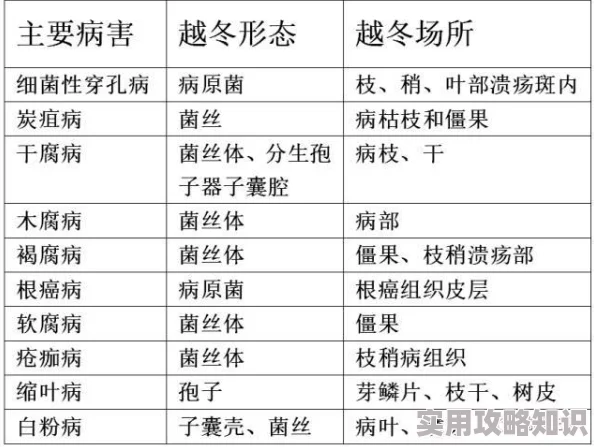 尘白禁区信源研析第二关通关秘籍：详细步骤与爆料攻略