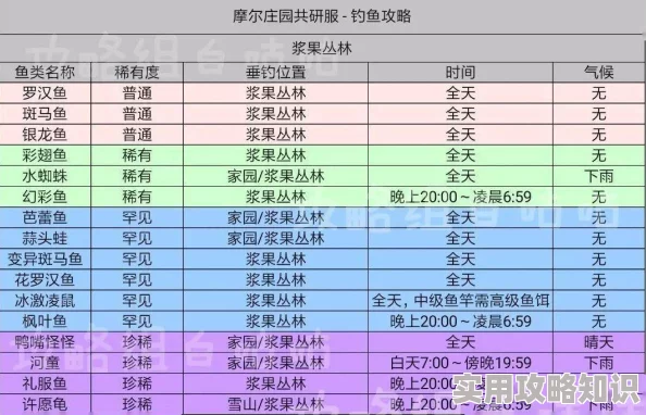 揭秘！我的休闲时光家园等级飞速提升不为人知的技巧与爆料