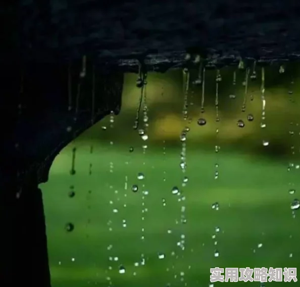 雨的印记画面唯美引人深思网友称其为年度最佳治愈短片