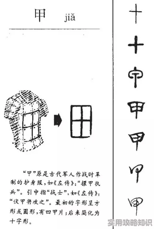 甲的部首网友表示象形字本身就是部首没必要再拆分