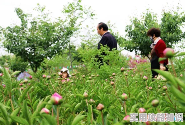 用力挺进她的花苞啊太原标题为《鲜花盛开》现已查禁