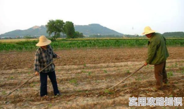 离婚后我在乡下种田赔光积蓄负债累累