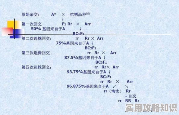 欧美人与动性xxxxx杂交伦理道德与科学边界及社会影响的探索分析