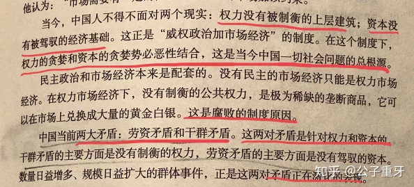 黄文：权力、欲望与腐败交织的灰色地带，探究其成因、危害及治理之道