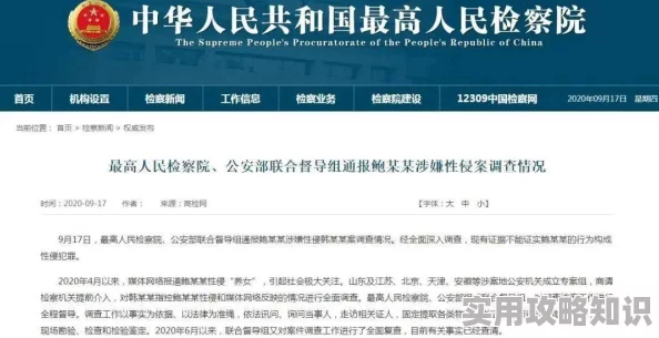 邪恶27报成员构成与活动模式的深入调查分析