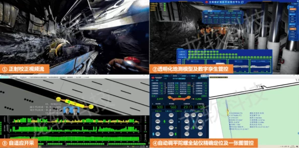 2024年跟龙有关的运动及手机游戏大盘点爆料