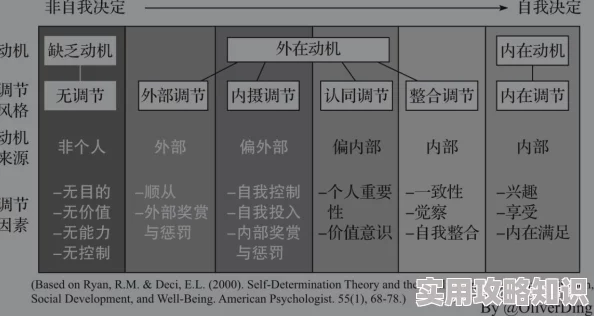 人与善动性XXXXBBBB探究其内在驱动机制与外在行为表现关联性分析