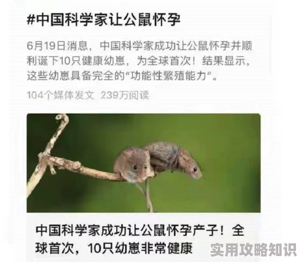 人马杂交实验曝光引发伦理争议科学家称实验已终止