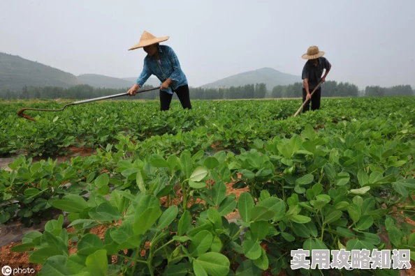 异环新手角色怎么选？最新爆料：超实用新手角色选择建议！