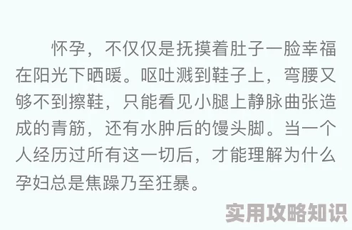 糙汉与娇娘月半喵小说免费全文已完结番外更新中