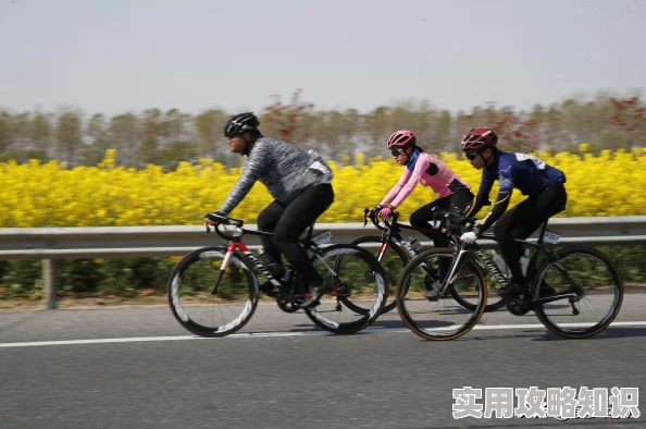 迷失の生命1.52版本为什么平衡性调整合理公平竞技乐趣无穷