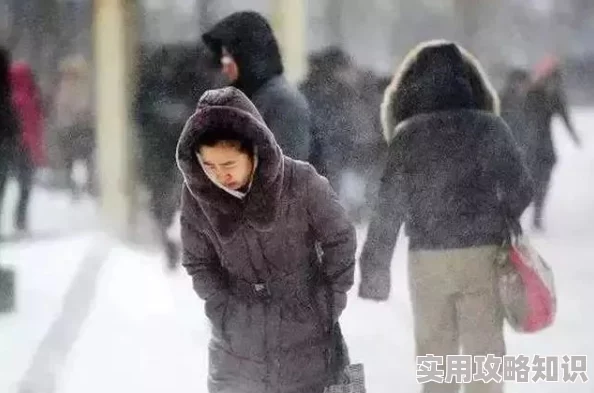 公车上雪柔被猛烈进入为何引发热议因为它满足了人们对激情与冒险的渴望