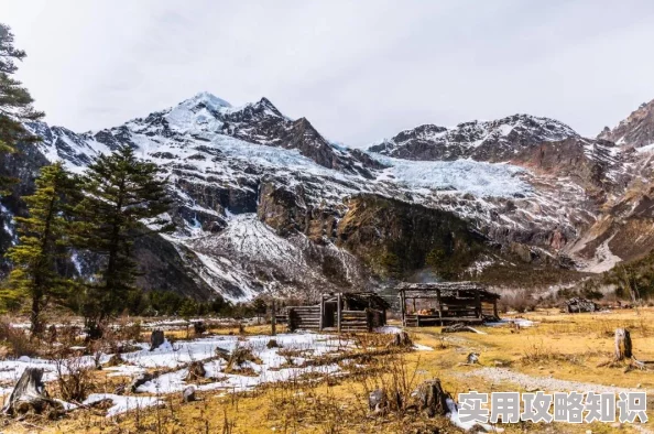 粗壮军人JI大巴进入为什么如此令人瞩目因为他们展现了团结一致的集体形象