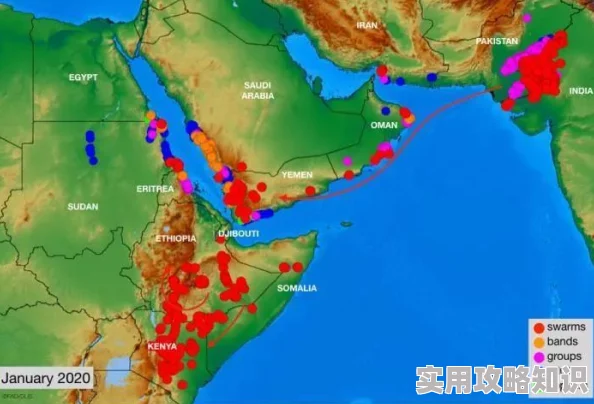 文明6爆料：埃及与阿拉伯半岛地图沙漠地形最多