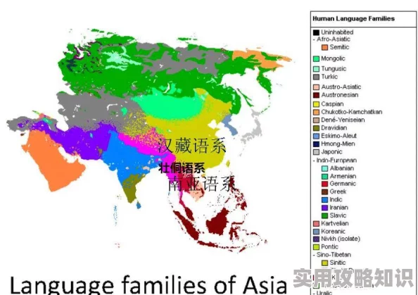 为何亚洲一区在线播放提供多语言字幕方便不同地区用户