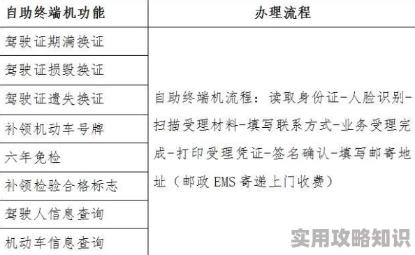 免费视频一区为什么覆盖面广资源全为何拥有超高人气