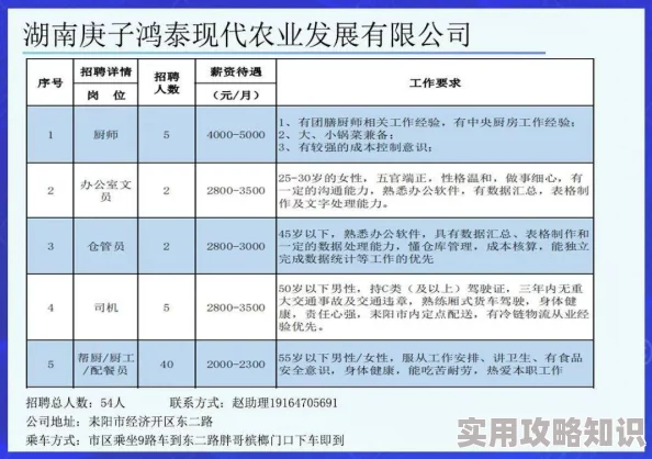 三角洲行动最新爆料：揭秘招募发布流程及关键细节