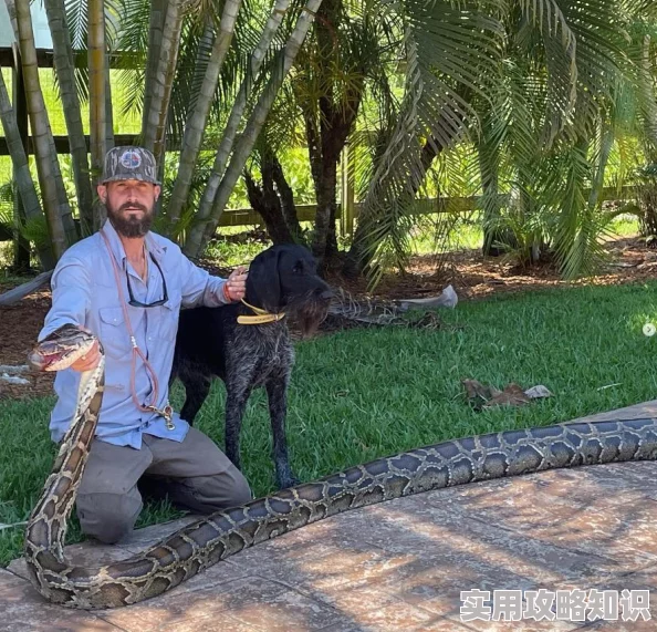 怪物猎人PC端揭秘：发射捕获网快捷键曝光，游戏攻略新爆料！