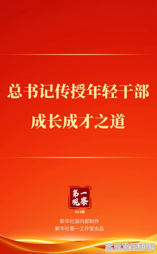 官场新秀纪实文学深度揭秘年轻干部成长之路