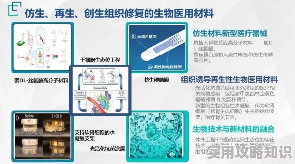 射精强力胶粘连技术革新引领2025生物科技新潮流