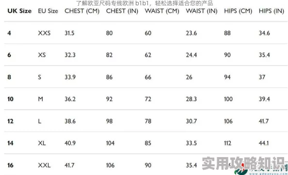 欧亚尺码专线欧洲B1B1快速清关稳定时效欧洲海外仓一件代发